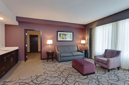 Hilton Garden Inn Irvine/Orange County Airport Camere Photos