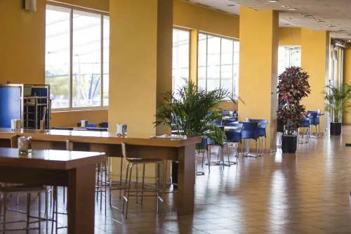 Hotel AG Express Elche Public Areas Photos