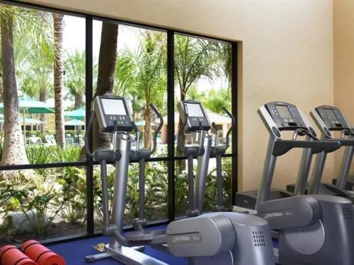 Sheraton Park Hotel at The Anaheim Resort Leisure & Recreation Photos