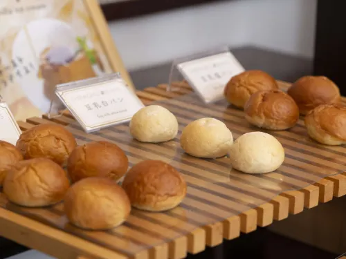 Shiragiku Dining Photos