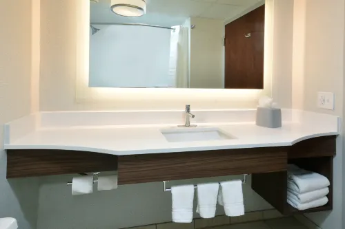 Holiday Inn Express Raleigh-Durham Airport Chambres Photos