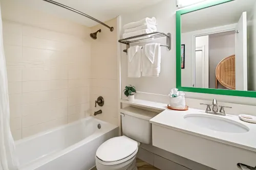 Palm Tree Club Miami Hotel Rooms Photos