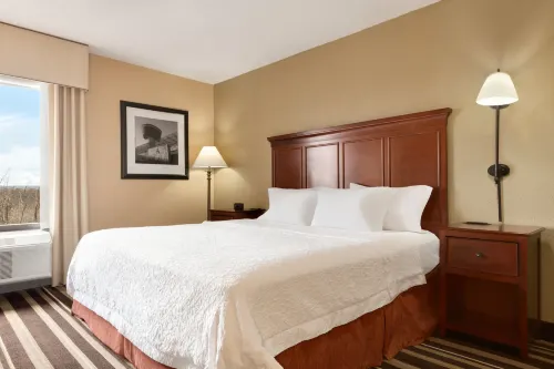 Hampton Inn Washington-Dulles Int'l Airport South Rooms Photos