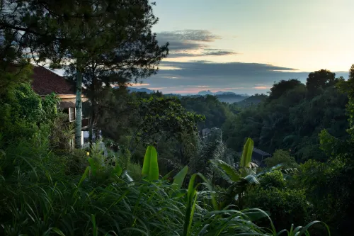 Novus Giri Puncak, Resort & Spa In der Nähe des Hotels Photos