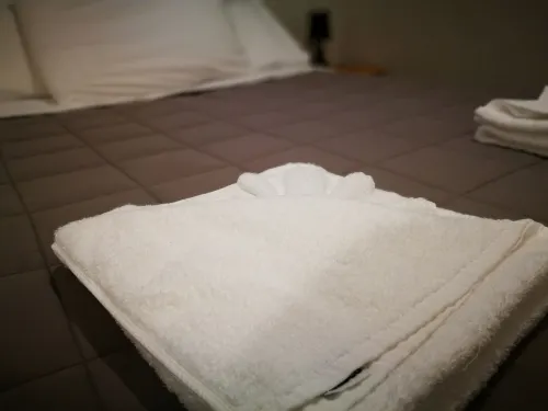Airport Birches Motel Rooms Photos