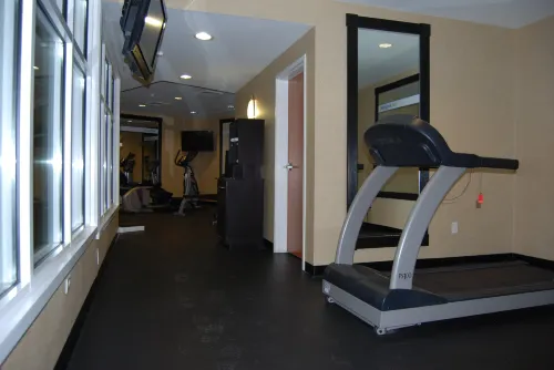 Holiday Inn Express & Suites Auburn Hills Leisure & Recreation Photos