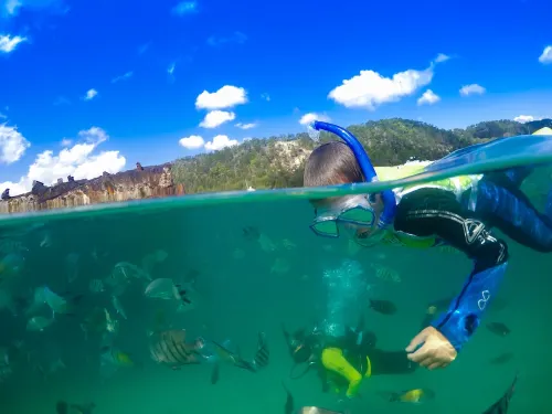 Tangalooma Island Resort Photos