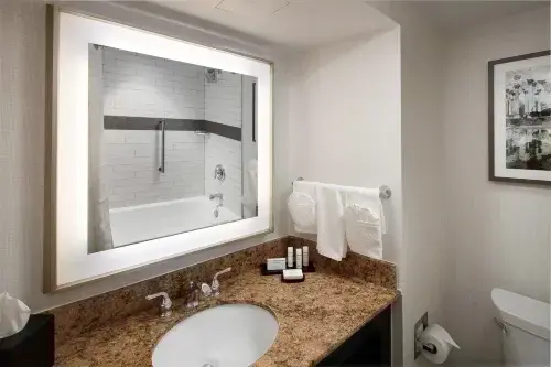 Embassy Suites by Hilton Tysons Corner Rooms Photos
