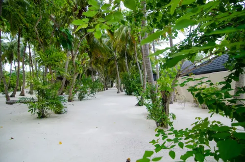 Summer Island Maldives Resort Extérieur Photos