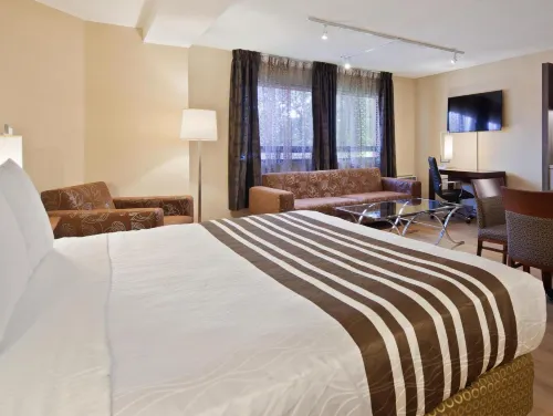 Best Western Plus Ottawa City Centre Photos
