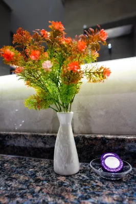 Rozana Hotel Photos