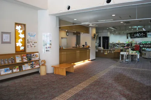 Hotel Kazurabashi Public Areas Photos