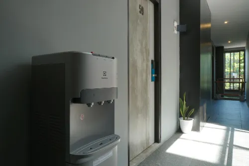 Dparagon Menteng Area Publik Photos