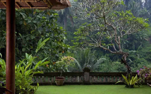 Viceroy Bali من الخارج Photos