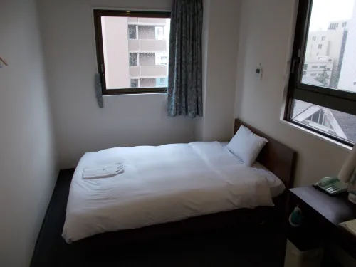 Hotel Green Arbor Photos