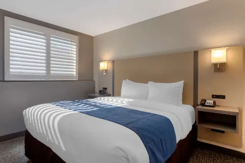 Comfort Inn San Diego Miramar Camere Photos