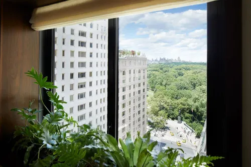 1 Hotel Central Park À proximité de l'hôtel Photos