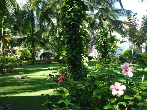 Khu nghỉ dưỡng Four Oceans Beach (Bốn Biển Mũi Né) Ngoại thất Photos