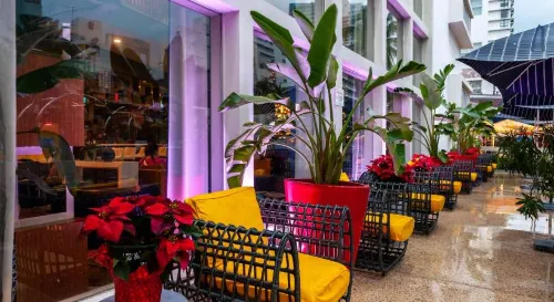 The Catalina Hotel & Beach Club Khu vực công cộng Photos