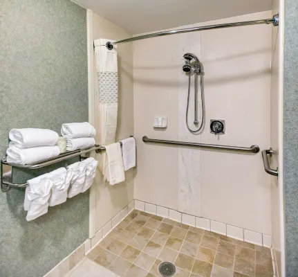 Hampton Inn & Suites Atlanta/Duluth/Gwinnett County Chambres Photos