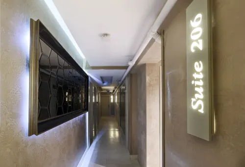 Orka Taksim Suites & Hotel Aree comuni Photos