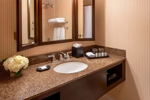 Sheraton Houston Brookhollow Hotel Chambres Photos