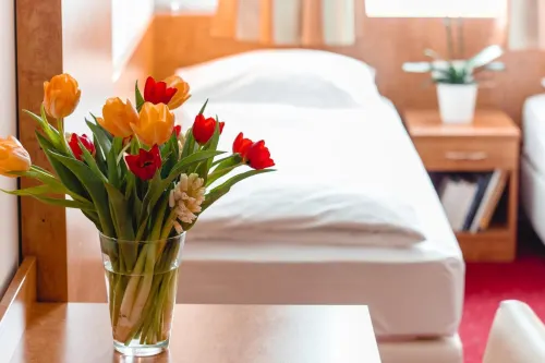 Hotel Allegro Wien Chambres Photos