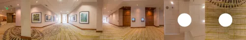The Westin Bellevue Espaces publics Photos