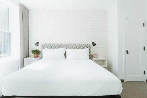 Hotel Hive Photos
