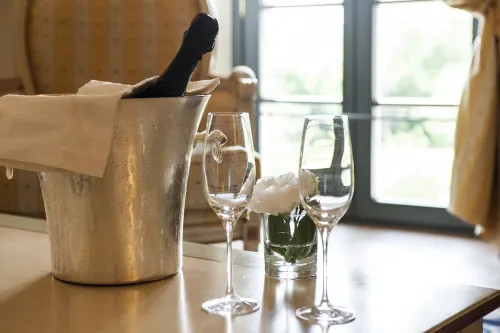 Grand Hotel Villa Torretta Milan Sesto, Curio Collection by Hilton Camere Photos