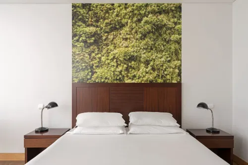 Neat Hotel Avenida Photos