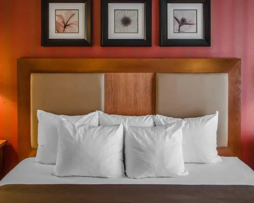 Hotel Hanna Camere Photos