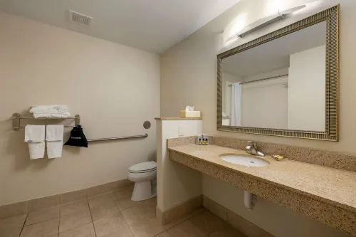 Best Western Plus Omaha Airport Inn Photos
