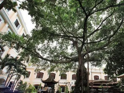 Saigon Morin Hotel Extérieur Photos