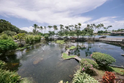 Scp Hilo Hotel À proximité de l'hôtel Photos