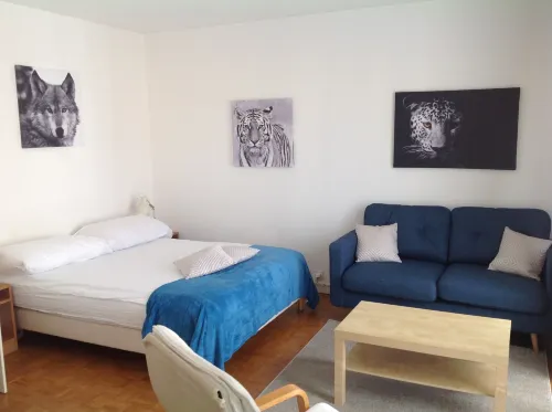 Hôtel Bellerive Photos