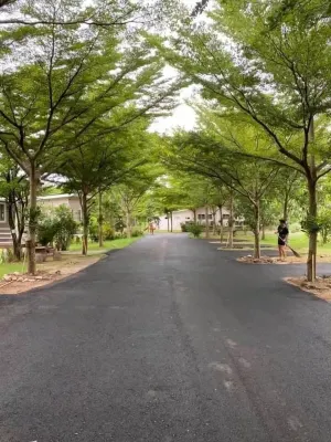 林地與水果度假村 酒店鄰近 Photos