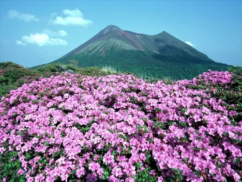 Kirishima Momijidani Seiryuso Near Hotel Photos