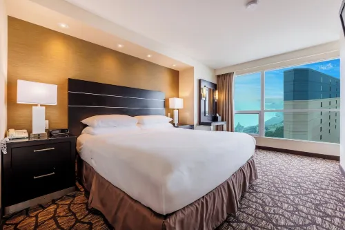 Embassy Suites by Hilton Niagara Falls/ Fallsview Chambres Photos