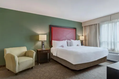 Crowne Plaza Houston Galleria Area Værelser Photos