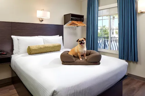 SureStay Hotel by Best Western San Diego Pacific Beach Photos