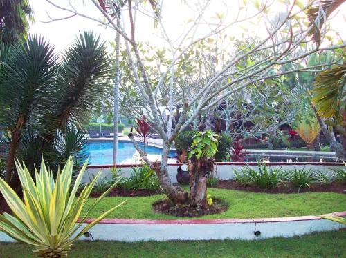 Medewi Bay Retreat Relaksasi & Rekreasi Photos