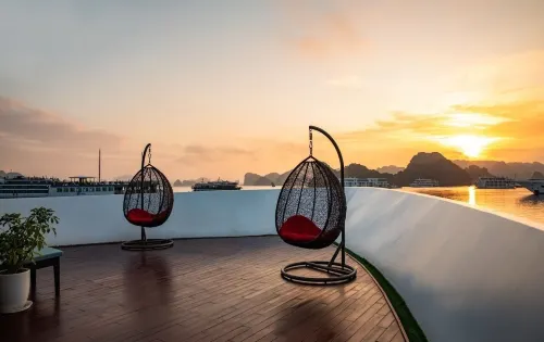Dora Cruise Общественные зоны Photos