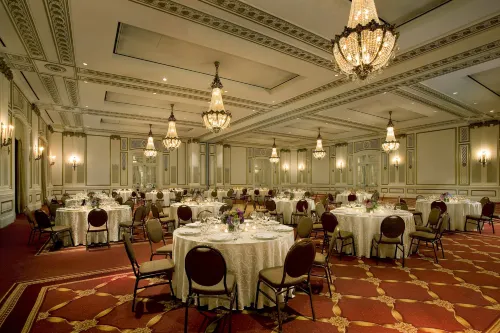 Palace Hotel, a Luxury Collection Hotel, San Francisco Restauration Photos