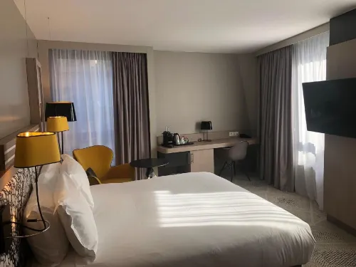 Hilton Garden Inn Massy Huoneet Photos