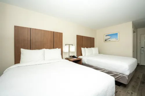 Best Western Houston Bush InterContinental Airport Inn Zimmer Photos