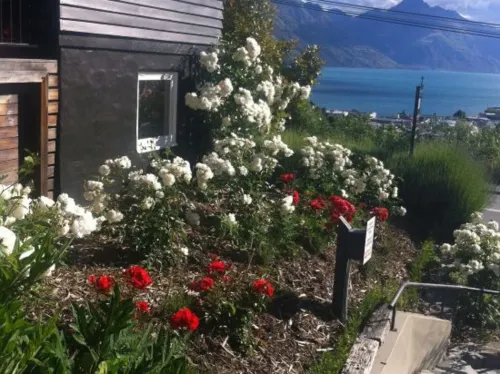 Queenstown House Bed & Breakfast and Apartments Esterni Photos