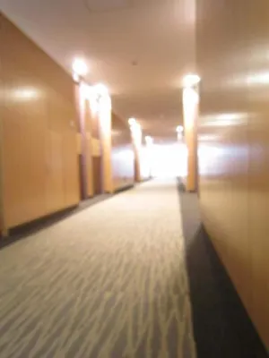 Nagaoka Grand Hotel Aree comuni Photos
