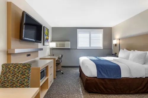 Comfort Inn San Diego Miramar Phòng Photos