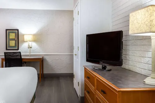 La Quinta Inn Tampa Airport Stadium Westshore Camere Photos